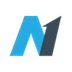 A1 CAPITAL